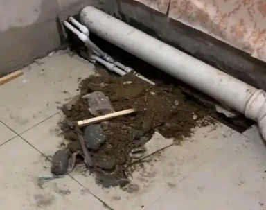 龙胜卫生间漏水检测哪家好